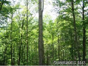 Lot #6 Block F Fox Run Meadow, Waynesville, NC 28786