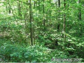 22/36/37 Traveler's Rest Lane, Rutherfordton, NC 28139