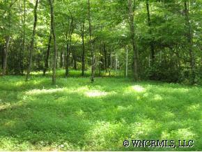 1 Sutton Branch Heights, Sylva, NC 28779