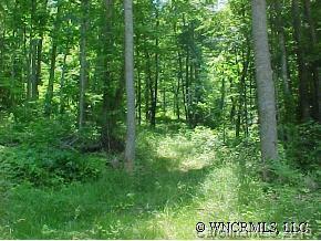 Fox Creek Road Tract #3, Burnsville, NC 28714