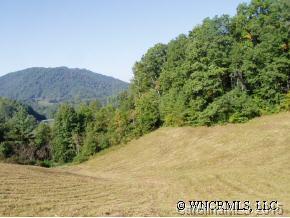 Banks Creek Rd., Burnsville, NC 28714