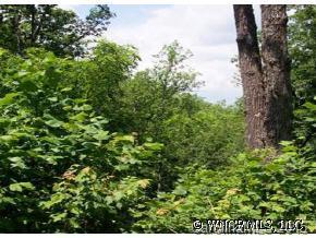 1719 Top Of Mountain Road Ext. #3, Hendersonville, NC 28739