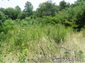 341 Laurel Hill Drive, Rutherfordton, NC 28136