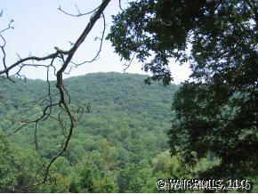 Unicorn Farm Rd., Asheville, NC 28805