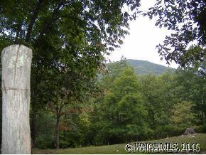 00 Mcguire Rd. #1, Pisgah Forest, NC 28768