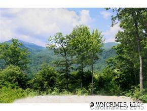 106 North Songbird Court #1, Bat Cave, NC 28710