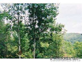 00 Mountain Cove Rd, Hendersonville, NC 28792