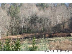 000 Off Meadows Cove Church Rd., Waynesville, NC 28687