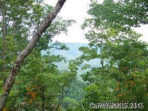 [Address Hidden by Seller], Sylva, NC 28779