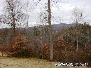 64 Pleasant Grove Rd., Weaverville, NC 28787
