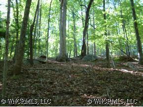 126 Pine Cone Tr., Rutherfordton, NC 28139