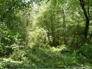 99999 Glenview Rd, Asheville, NC 28804