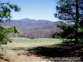 82 Old Place Road, Hendersonville, NC 28792