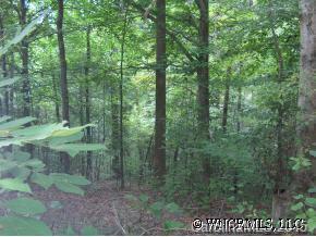 Kelsey Rd., Rutherfordton, NC 28139