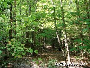 0000 Proctor Rd., Lake Lure, NC 28746