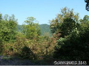 #62 Inglewood Cove Rd., Waynesville, NC 28786