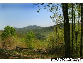 0000 Songbird Court #13, Bat Cave, NC 28710