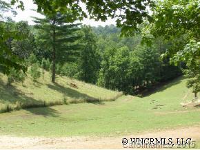 942 Paint Fork Rd, Mars Hill, NC 28754