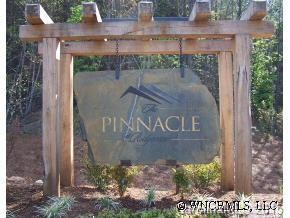 25 Palisade Dr, Rutherfordton, NC 28139