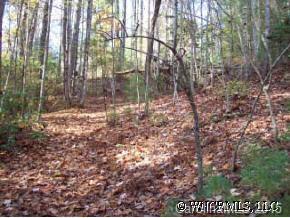 L-9 Spring Meadow Drive, Pisgah Forest, NC 28768