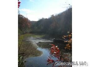 00000 Press Owenby Drive, Black Mountain, NC 28711