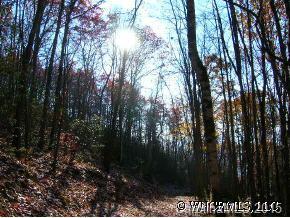 TEABERRY Teaberry, Waynesville, NC 28785