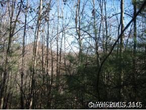 Lot 52 Feather Falls Trail #52, Black Mountain, NC 28711