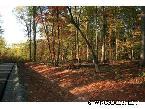 Lot 50 Firethorn Lane, Rutherfordton, NC 28139