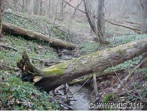 Prices Creek Rd., Burnsville, NC 29714