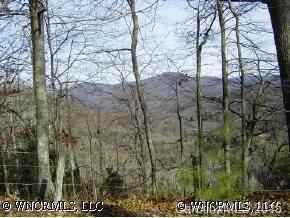 4 Wounded Wolf Trail, Waynesville, NC 28786