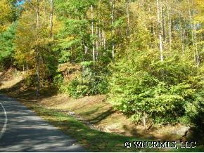 4421 Cove Loop Rd. #24 MC, Hendersonville, NC 28739