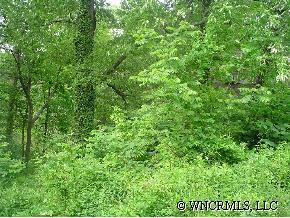 99999 Courtland Ave., Asheville, NC 28801