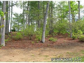 140 Shadowleaf Drive #16Wex, Hendersonville, NC 28739