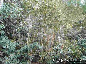 185 Old Stoneledge Rd., Hendersonville, NC 28792
