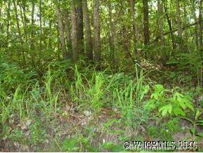 19 Usdasdi Drive, Brevard, NC 28712