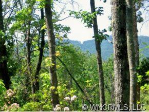 Lot 37 Buffalo Cove North, Lake Lure, NC 28746