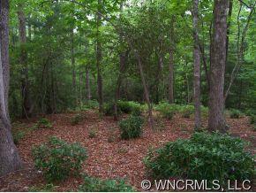 60 E.falls View Drive #58, Pisgah Forest, NC 28768