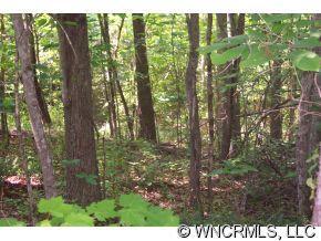3 Jericho Drive, Rutherfordton, NC 28139