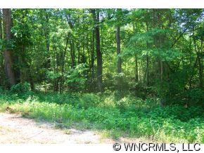 4 Jericho Drive, Rutherfordton, NC 28139