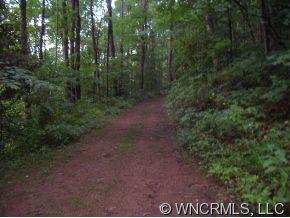 Tumbling Fork Rd., Waynesville, NC 28785