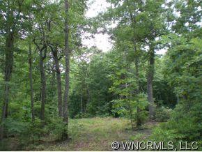 Lot 5-A Tower Road #5-A, Brevard, NC 28712