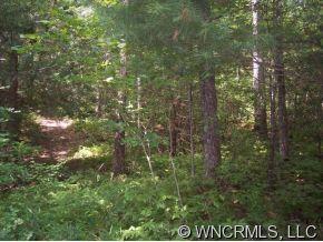 W. Southwood Dr., Brevard, NC 28712