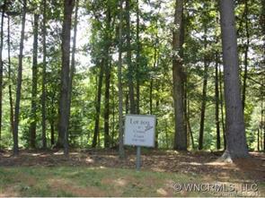 47 (lot 202) Croton Court, Asheville, NC 28803