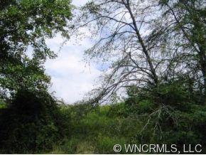 00 New Stock Road, Weaverville, NC 28787