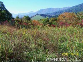 00 Riley Ridge, Waynesville, NC 28785