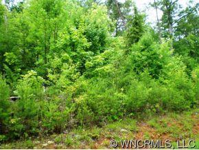 288 Chimney Cliffs Dr., Lake Lure, NC 28746