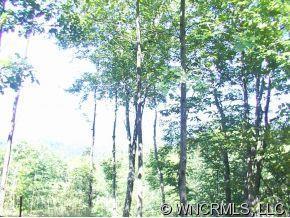 LOT 16 Queens Gap, Rutherfordton, NC 28139