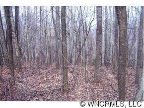 Country Road, Waynesville, NC 28786