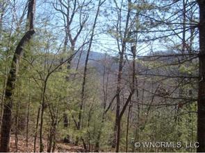 Lot 2 Crab Creek Road, Hendersonville, NC 28739
