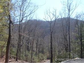 Lot 3 Crab Creek Road, Hendersonville, NC 28739